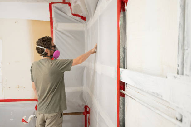 Best Mold Removal for HVAC Installations  in Incline Village, NV