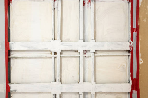 Best Industrial Mold Remediation  in Incline Village, NV