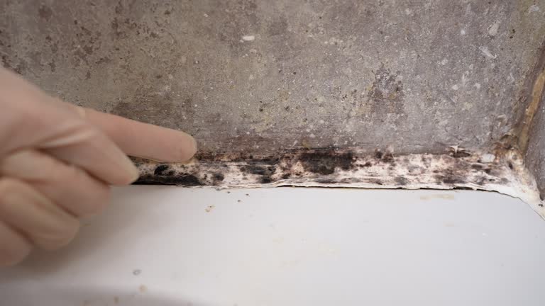 Best Indoor Air Quality Assessment  in Incline Village, NV